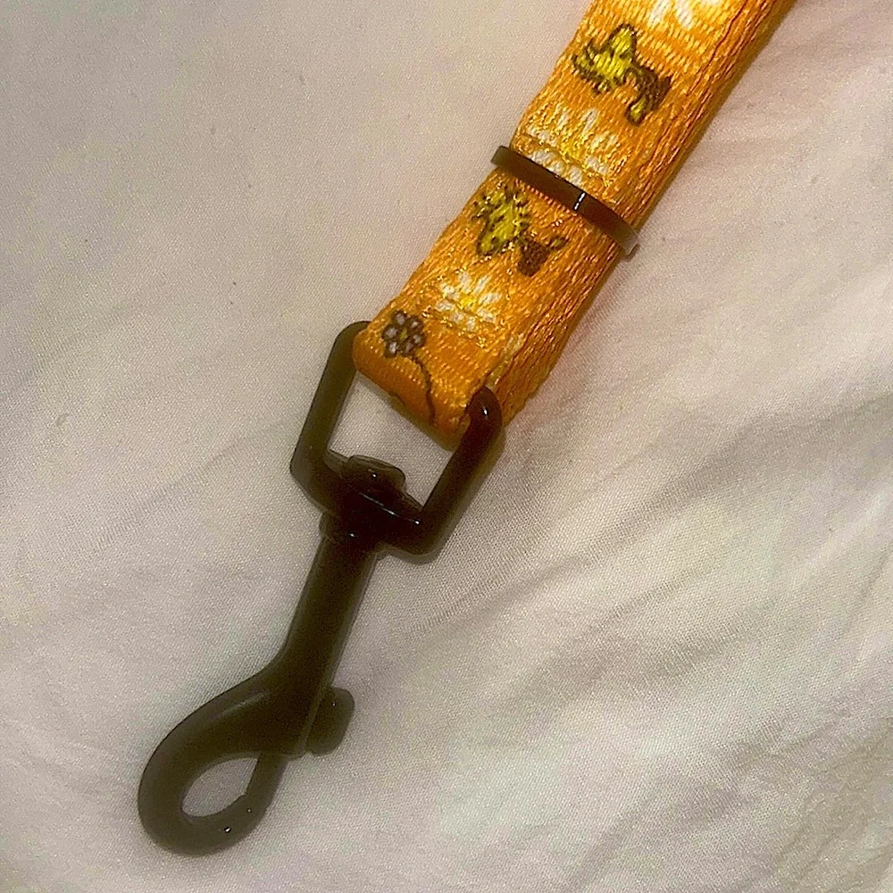 Sassy Meow Peanuts Woodstock Cat Collar (M) and Matching Leash 6ft